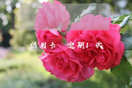 信用卡 逾期1次 信用卡 逾期1次